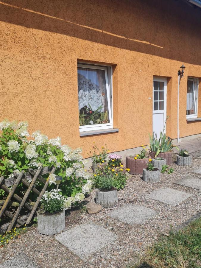 Ferienwohnung Warnitz Blankenburg  Exterior foto